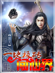 一块板砖闯仙界