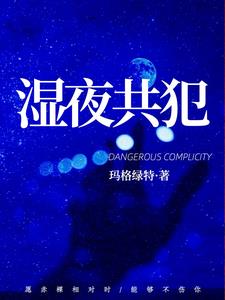 湿夜共犯